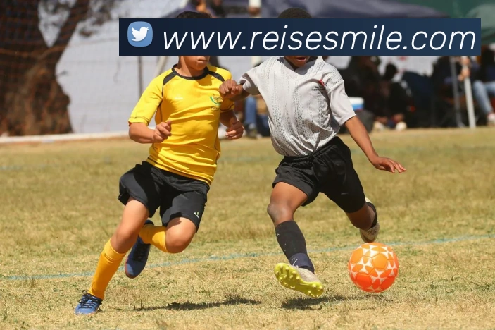 米乐m6发展历程